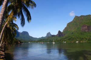 Kopie von moorea2 030