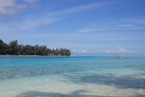 Kopie von moorea2 048