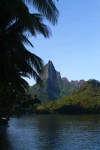 moorea2 029