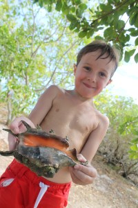 moorea tahiti noumea 034