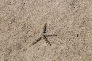 moorea tahiti noumea 045