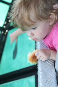 moorea tahiti noumea 058