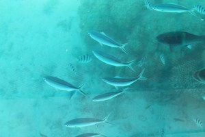 moorea tahiti noumea 060